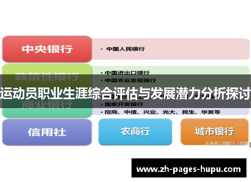 运动员职业生涯综合评估与发展潜力分析探讨
